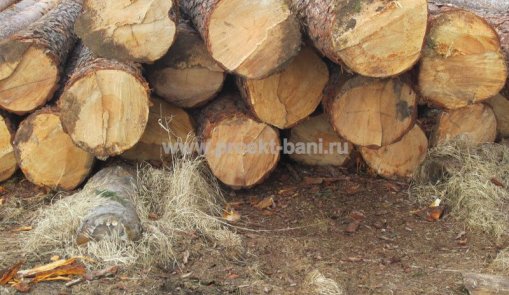 Срубы из бревен 12 метров