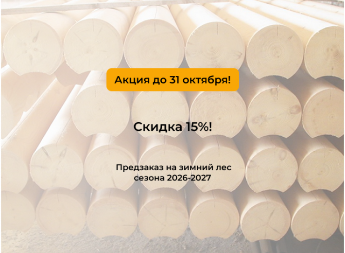 Предзаказ на зимний лес сезона 2026-2027 со скидкой 15%